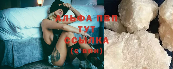 прущие крисы Белокуриха