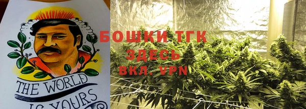 индика Белоозёрский