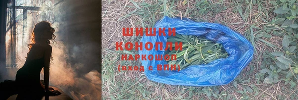 индика Белоозёрский