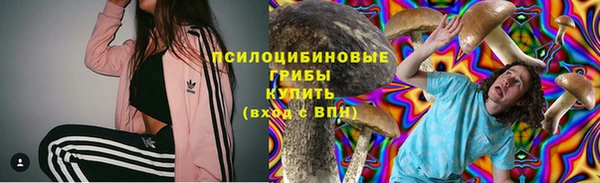спайс Богородск